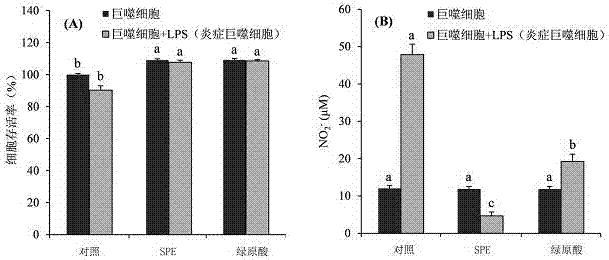 A kind of stevia phenolic extract and its application in anti-inflammatory products