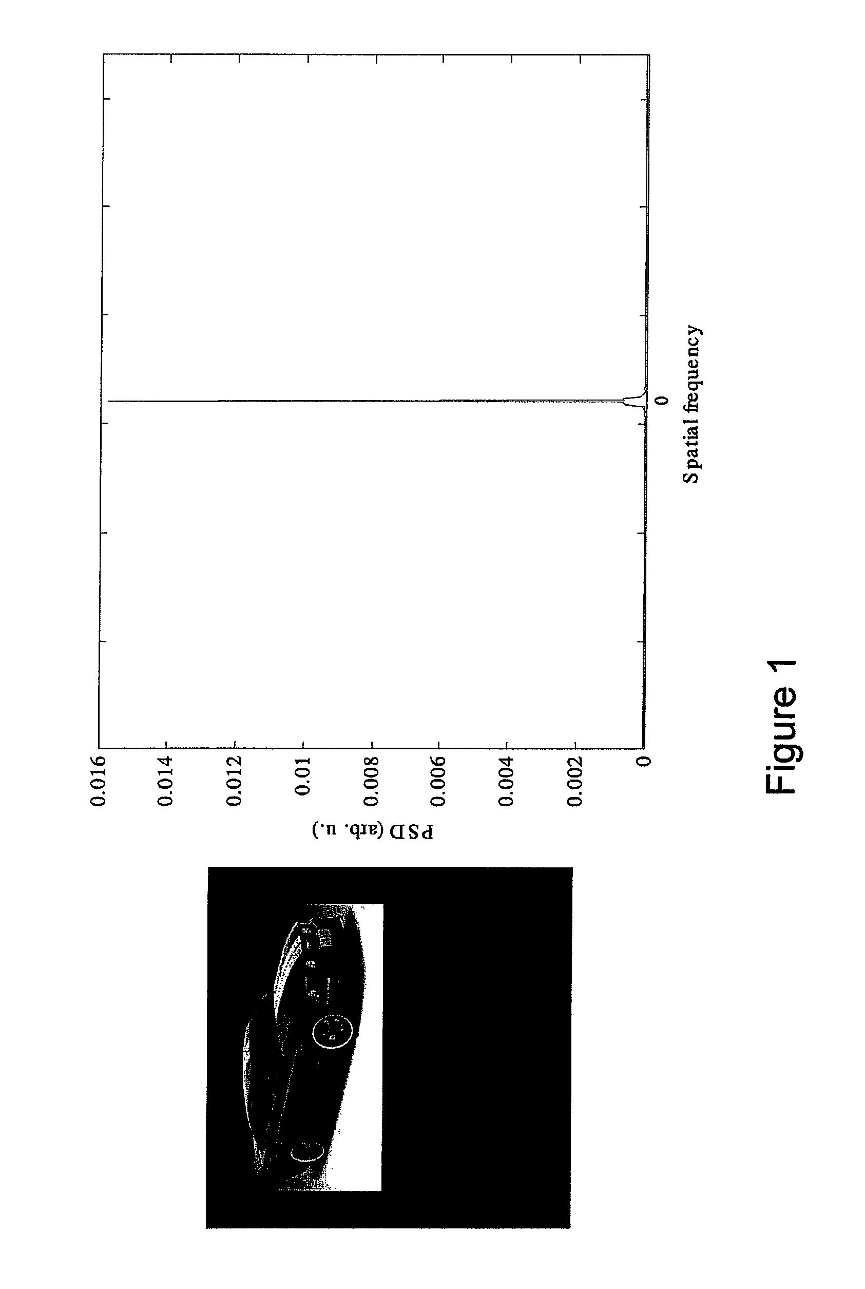 Holographic image display system