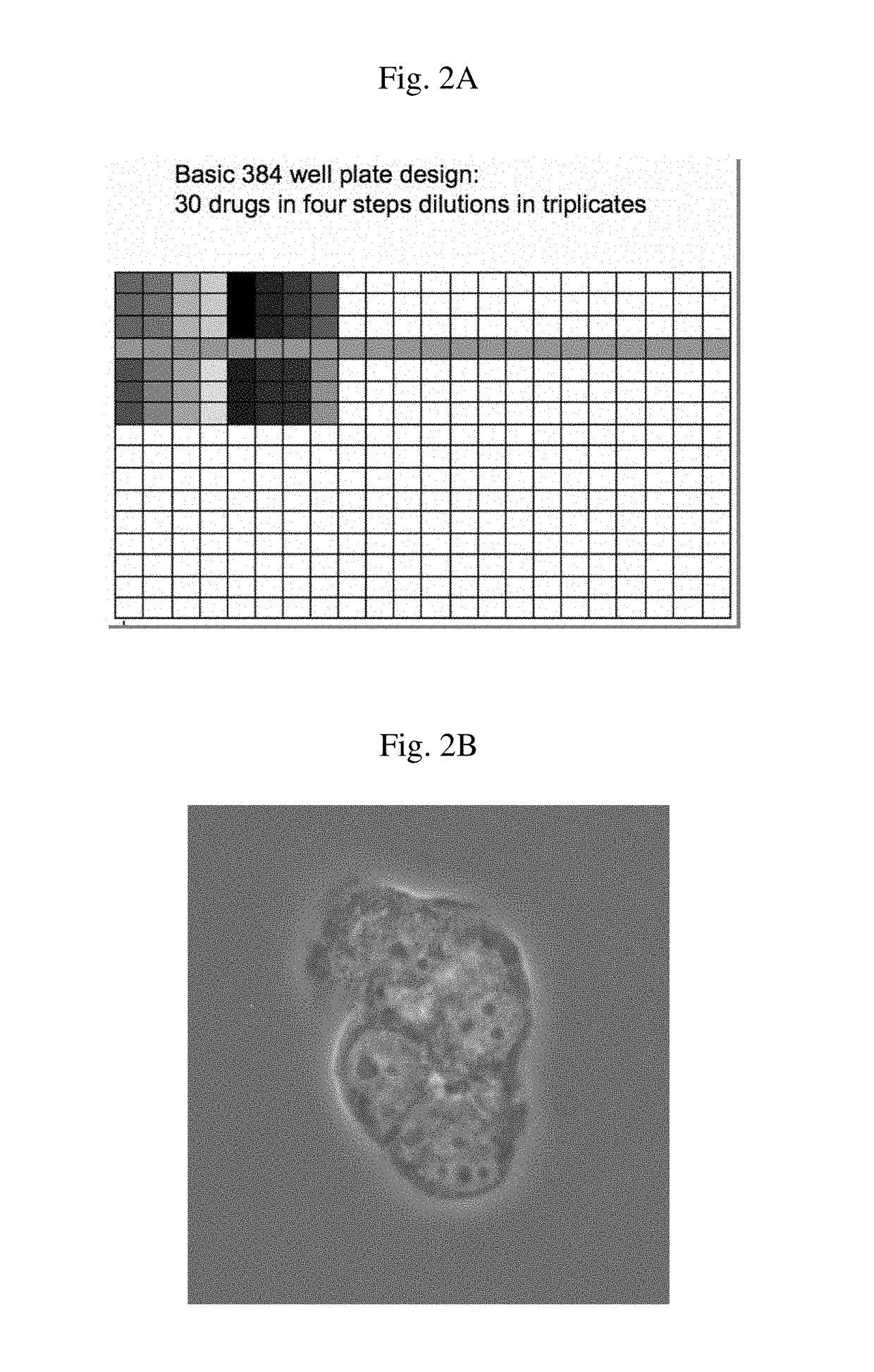Cell culture medium