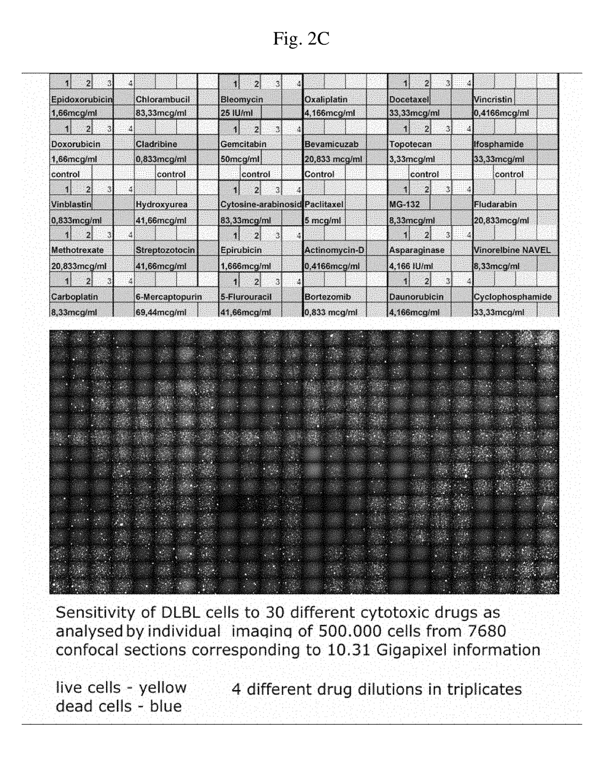 Cell culture medium