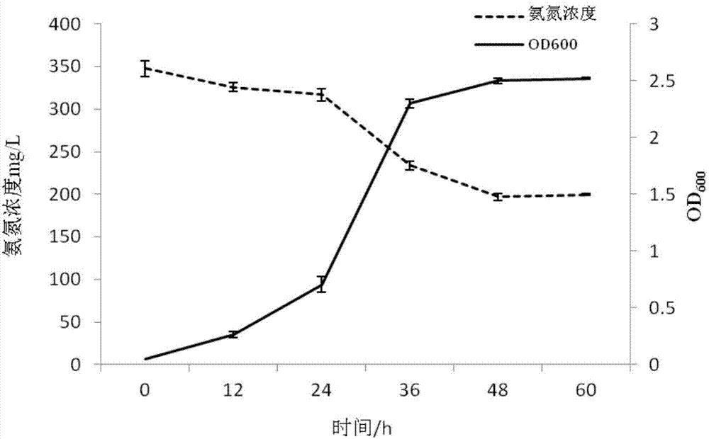 Pichia farinosa NHG and application of Pichia farinosa to in degradation of ammonia nitrogen