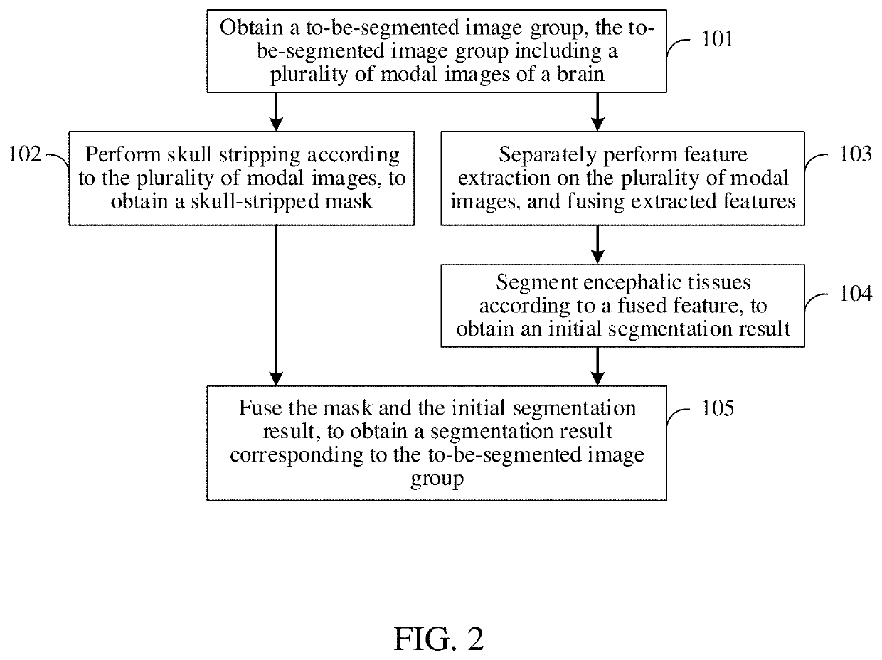 Brain image segmentation method and apparatus, network device, and storage medium