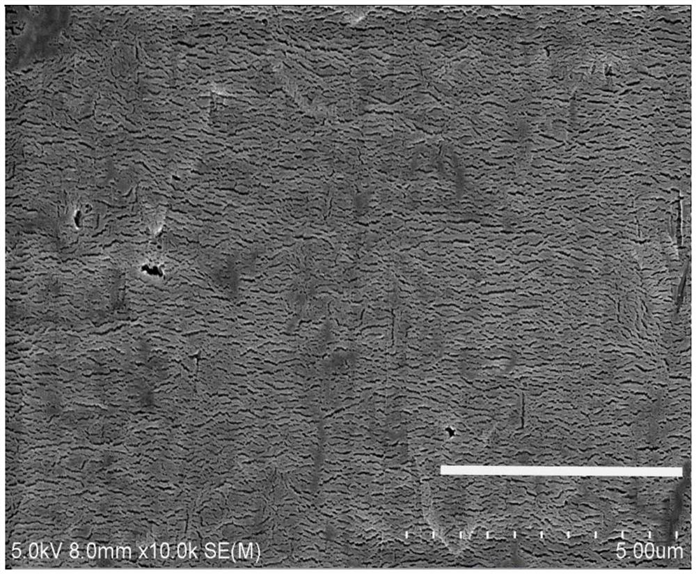 Surface treatment method for 5G polymer