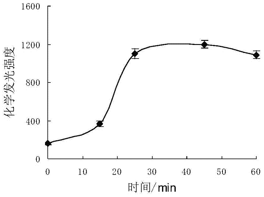 A method for the detection of ferritin by chemiluminescence analysis based on nano-gold catalysis