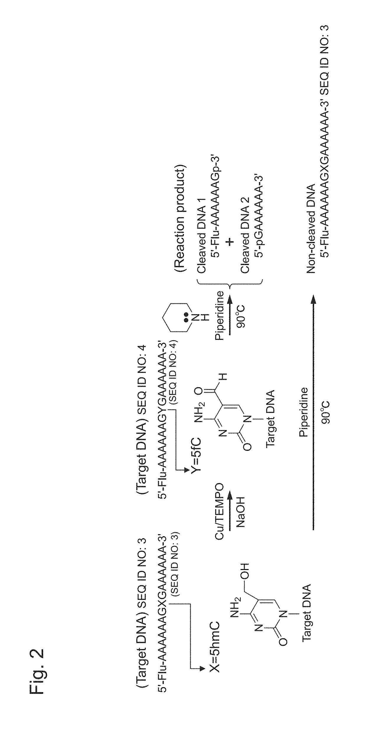 Oxidizing agent for 5-hydroxymethylcytosine and method for analyzing 5-hydroxymethylcytosine