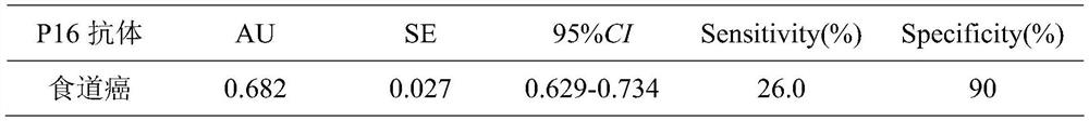 Amino acid sequence for detecting esophageal cancer marker P16 epitope and application of amino acid sequence