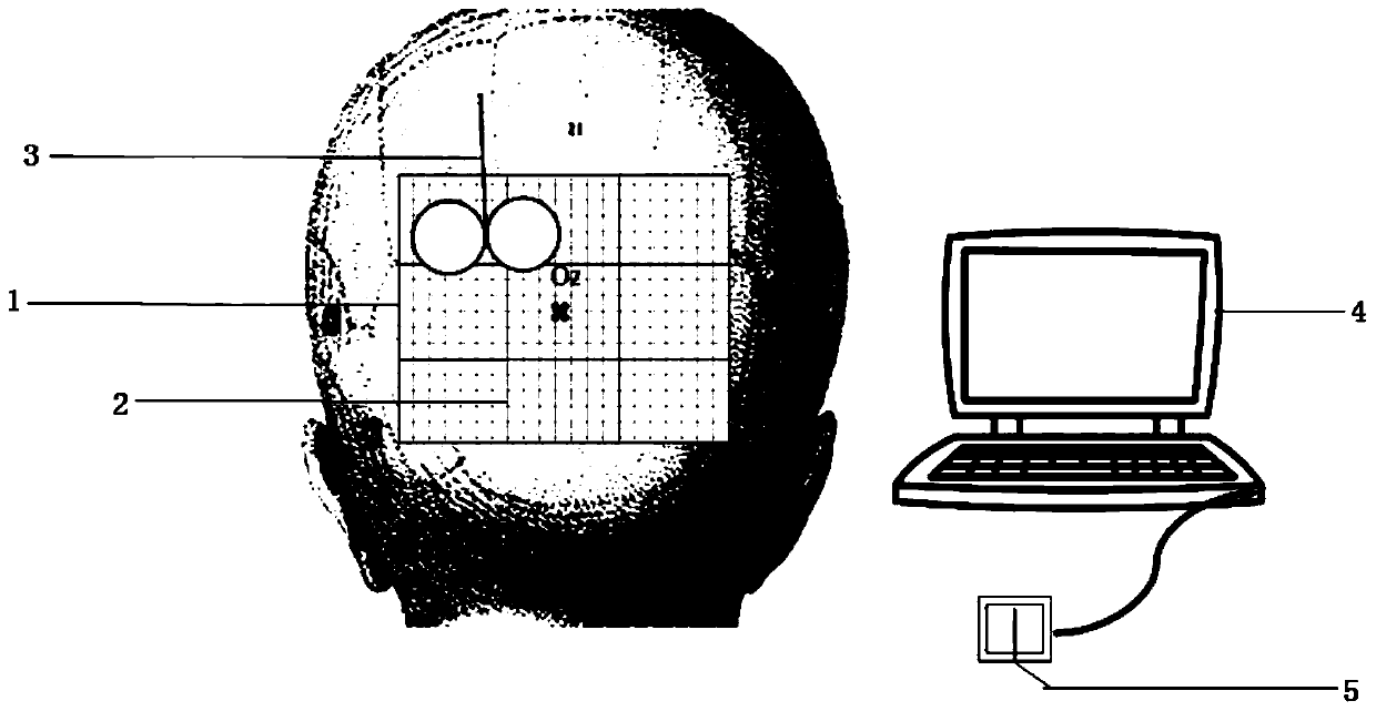 Visual cortex positioning method and device with transcranial magnetic stimulation