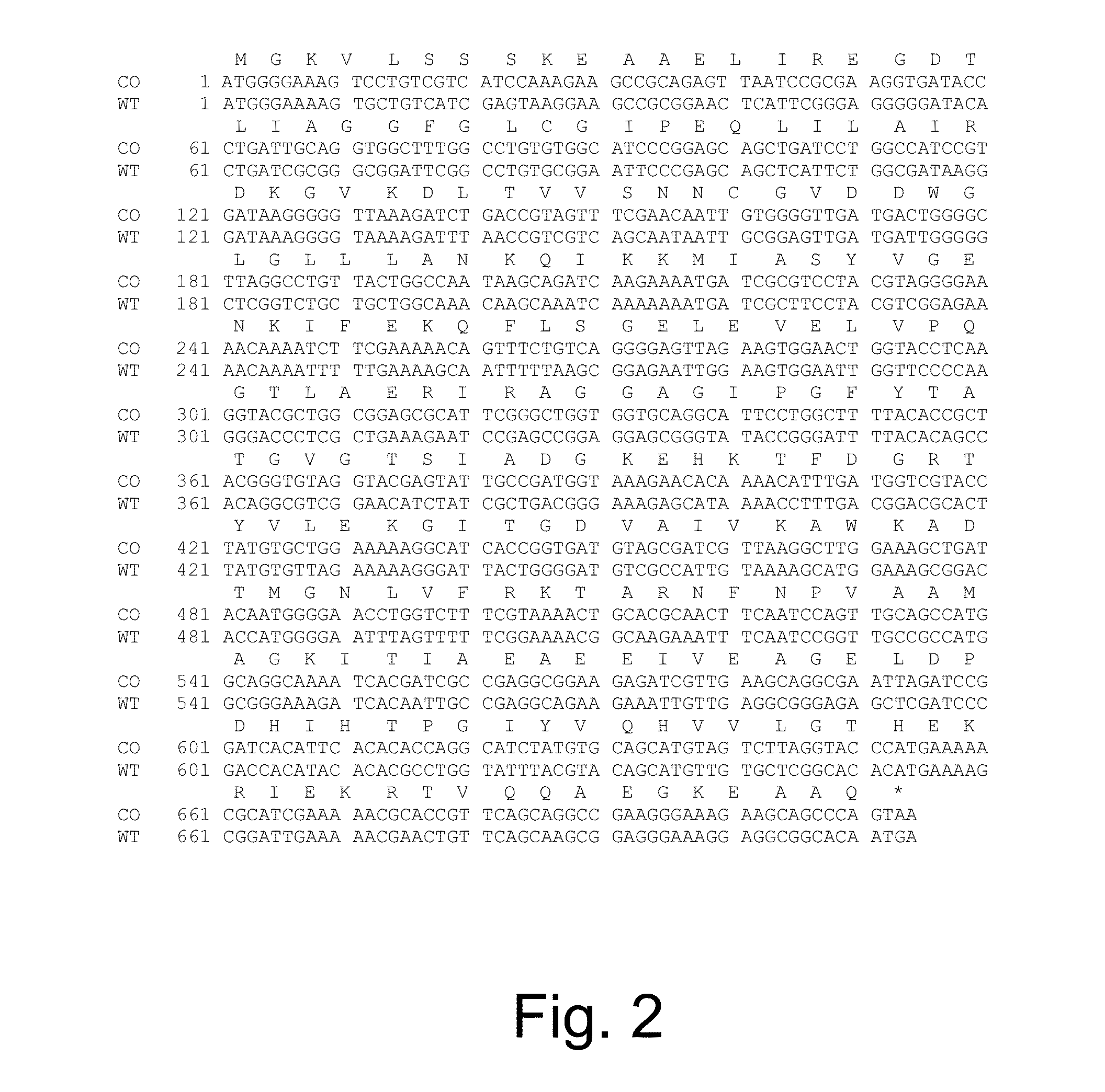 Polypeptides having succinyl-CoA: acetoacetate transferase activity and polynucleotides encoding same