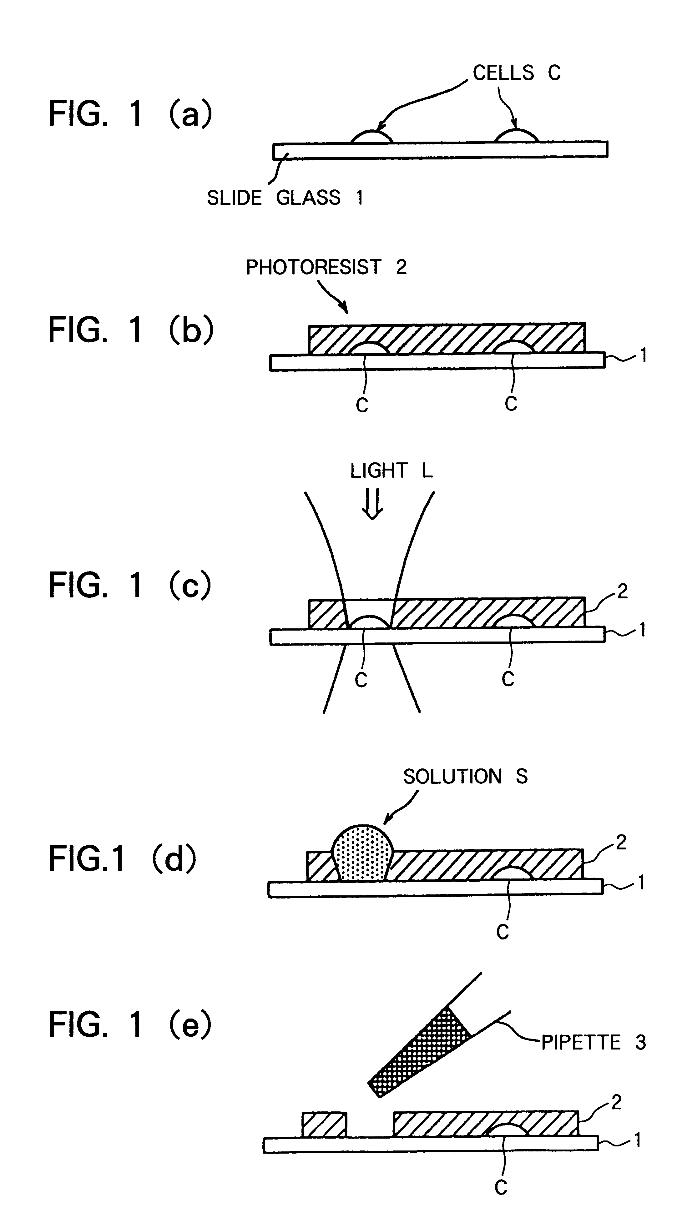 Method for separating biological substances by using photoresist