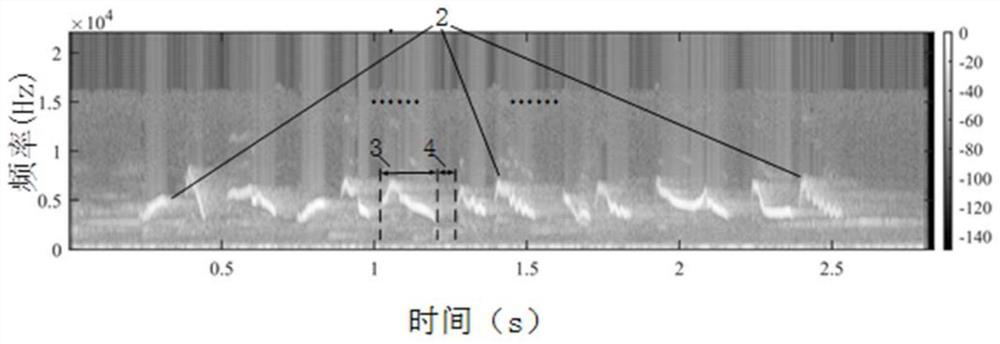 A camouflaged concealed wireless networking communication method based on the call of the dark green white-eye bird