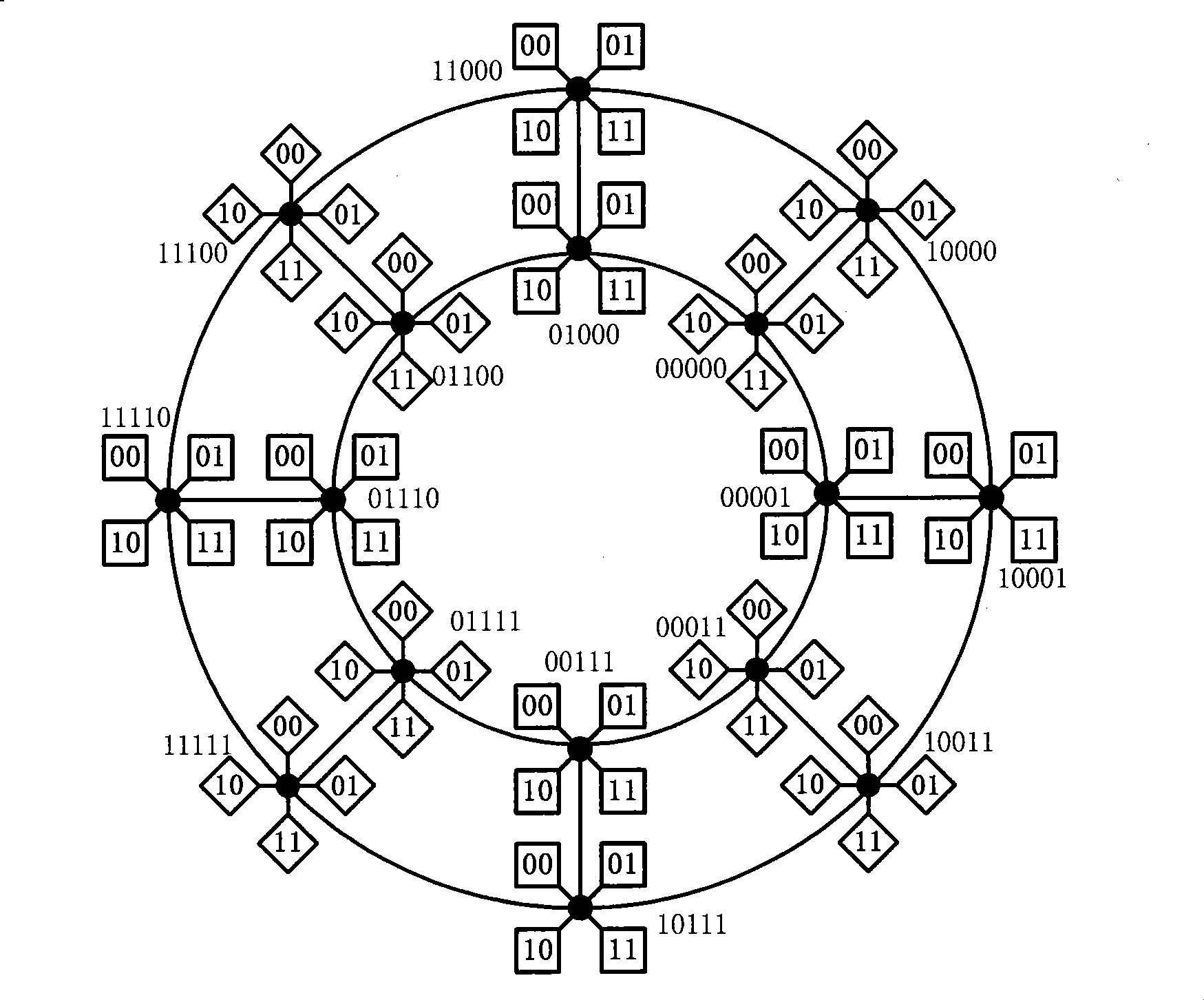 Star-cluster double-loop on chip network topology construction
