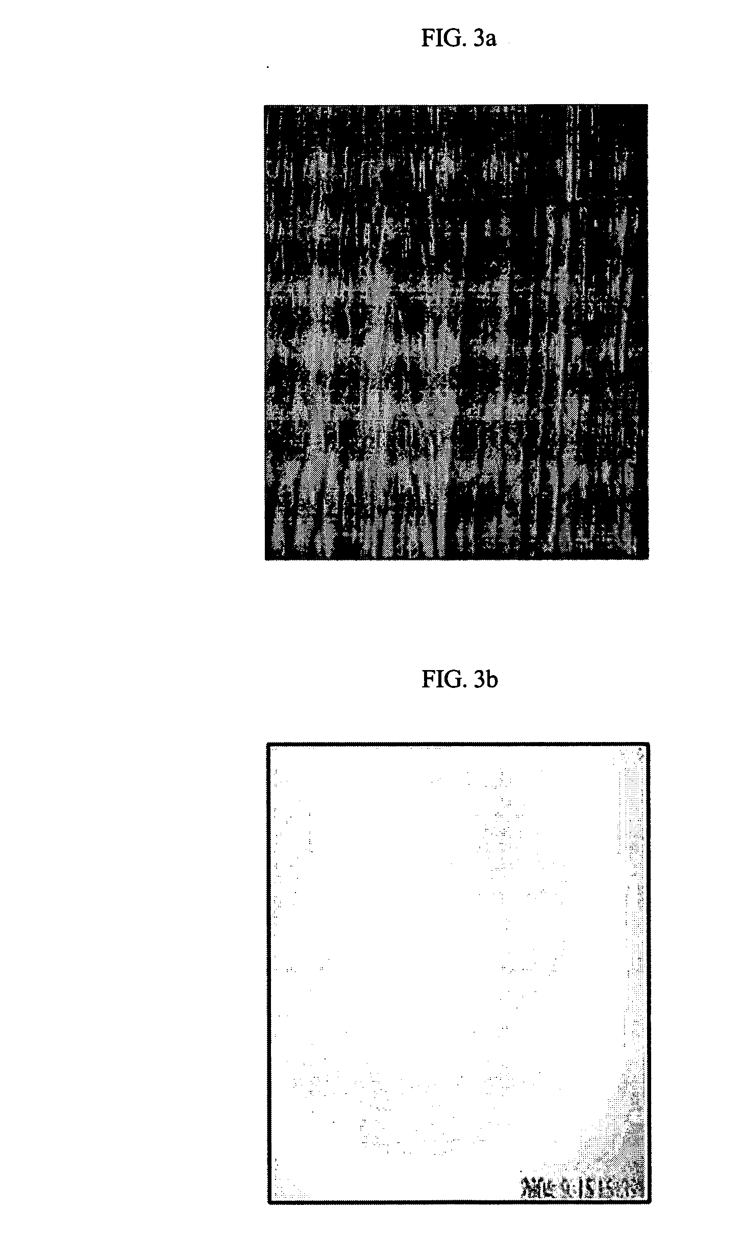 Non-PVC flooring made of thermo plastic elastomer and method for producing the same