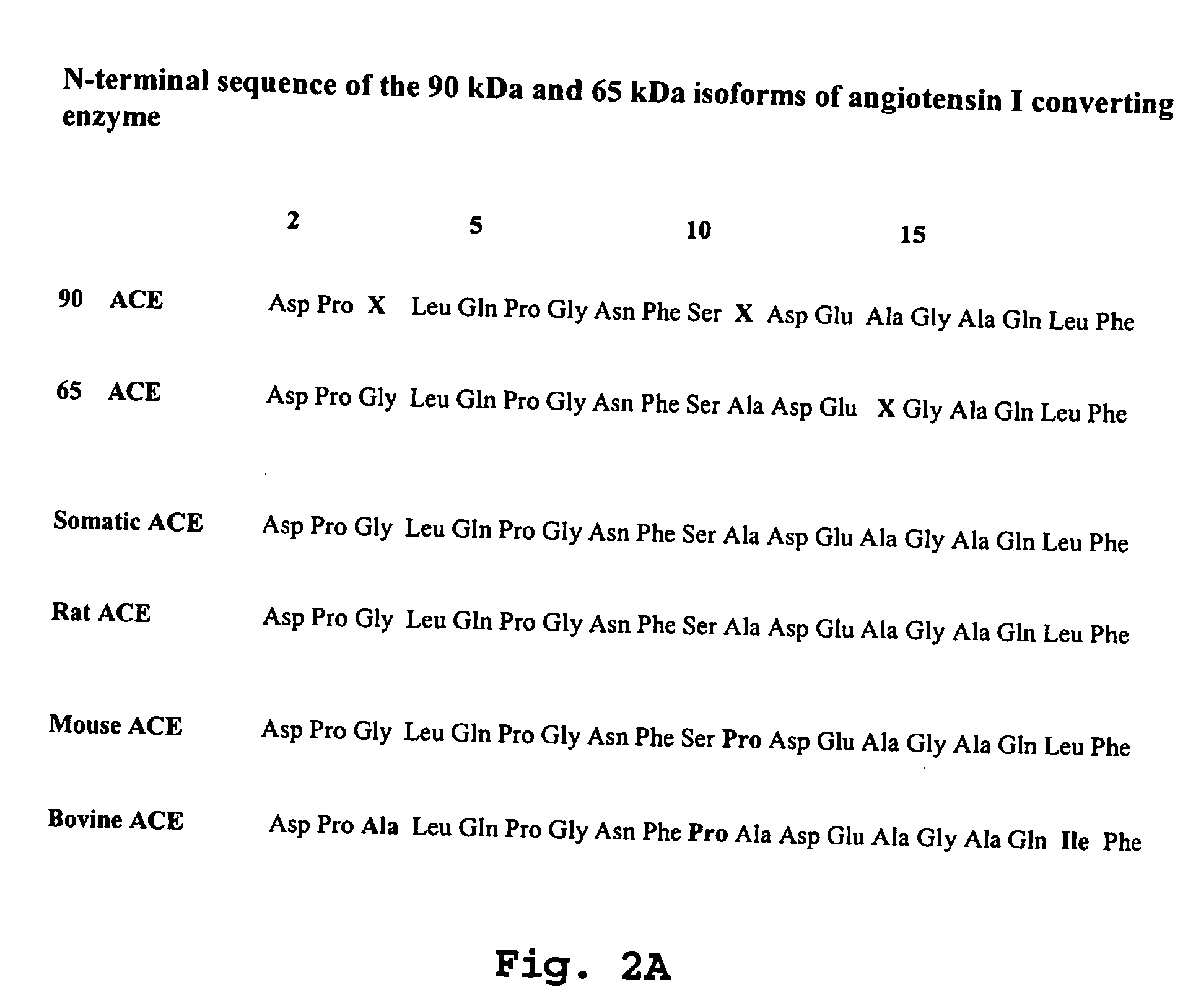 Method of identification and quantification of proteins, isoforms of the angiotensin i converting enzyme