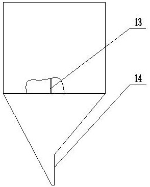 Gate discharging type quantitative bin for sow precision feeding