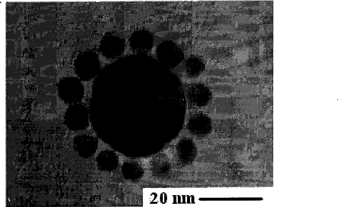 Nanogold Colloid for responding heavy metal ion and method for making same