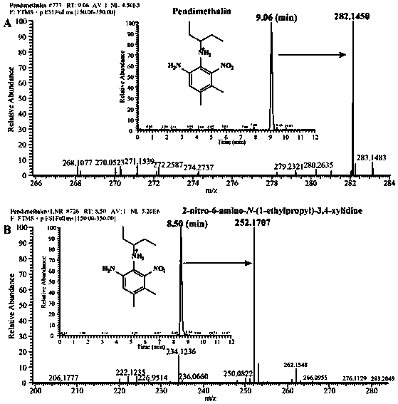 Nitroreductase gene lnr as well as coded proteins and application thereof