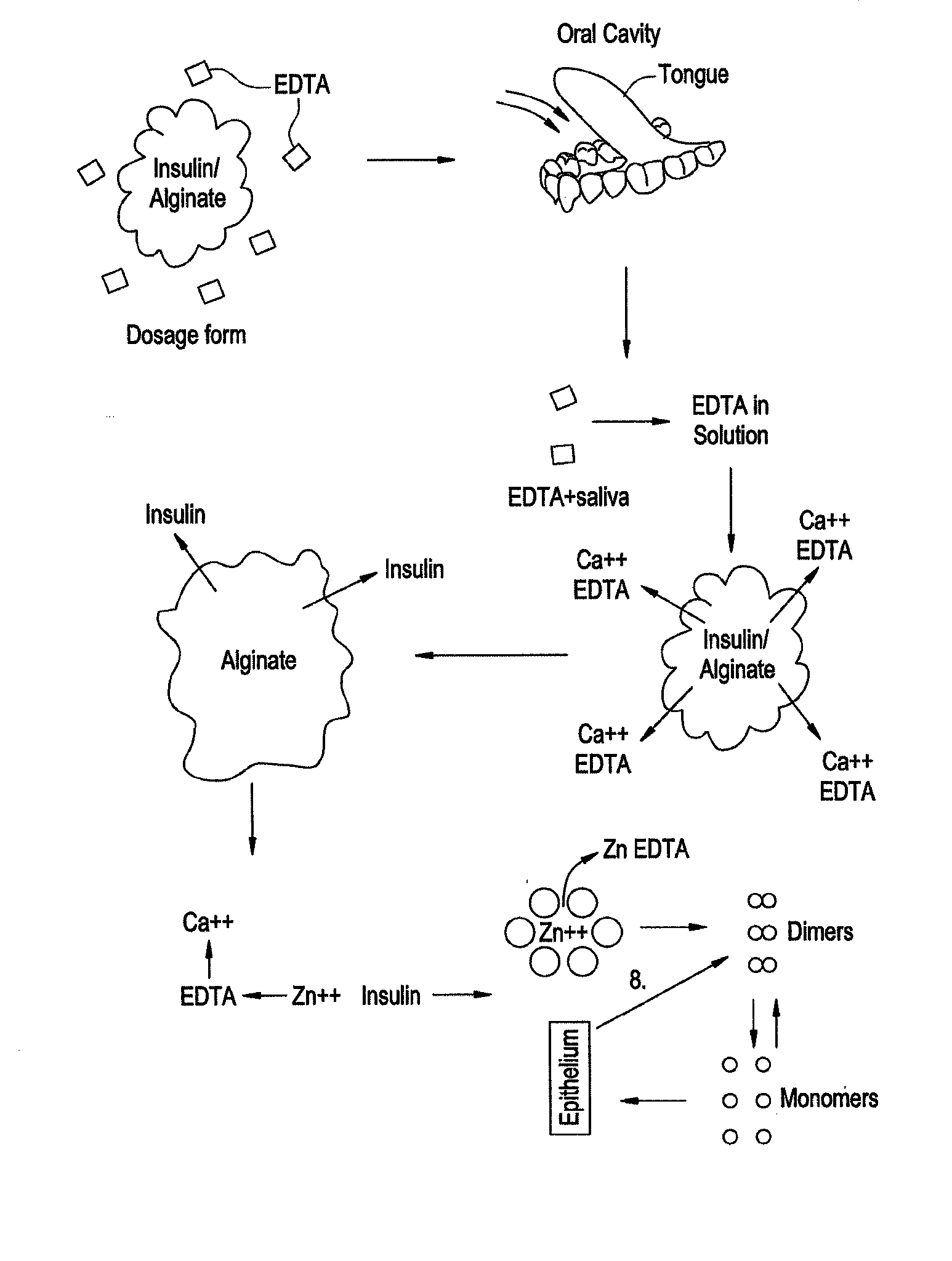 Rapid Acting Drug Delivery Compositions