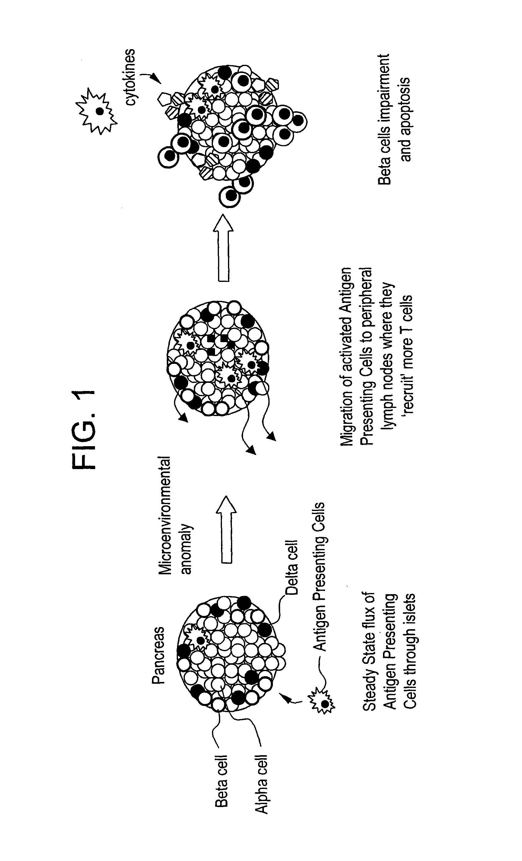 Nucleic acid microspheres, production and delivery thereof