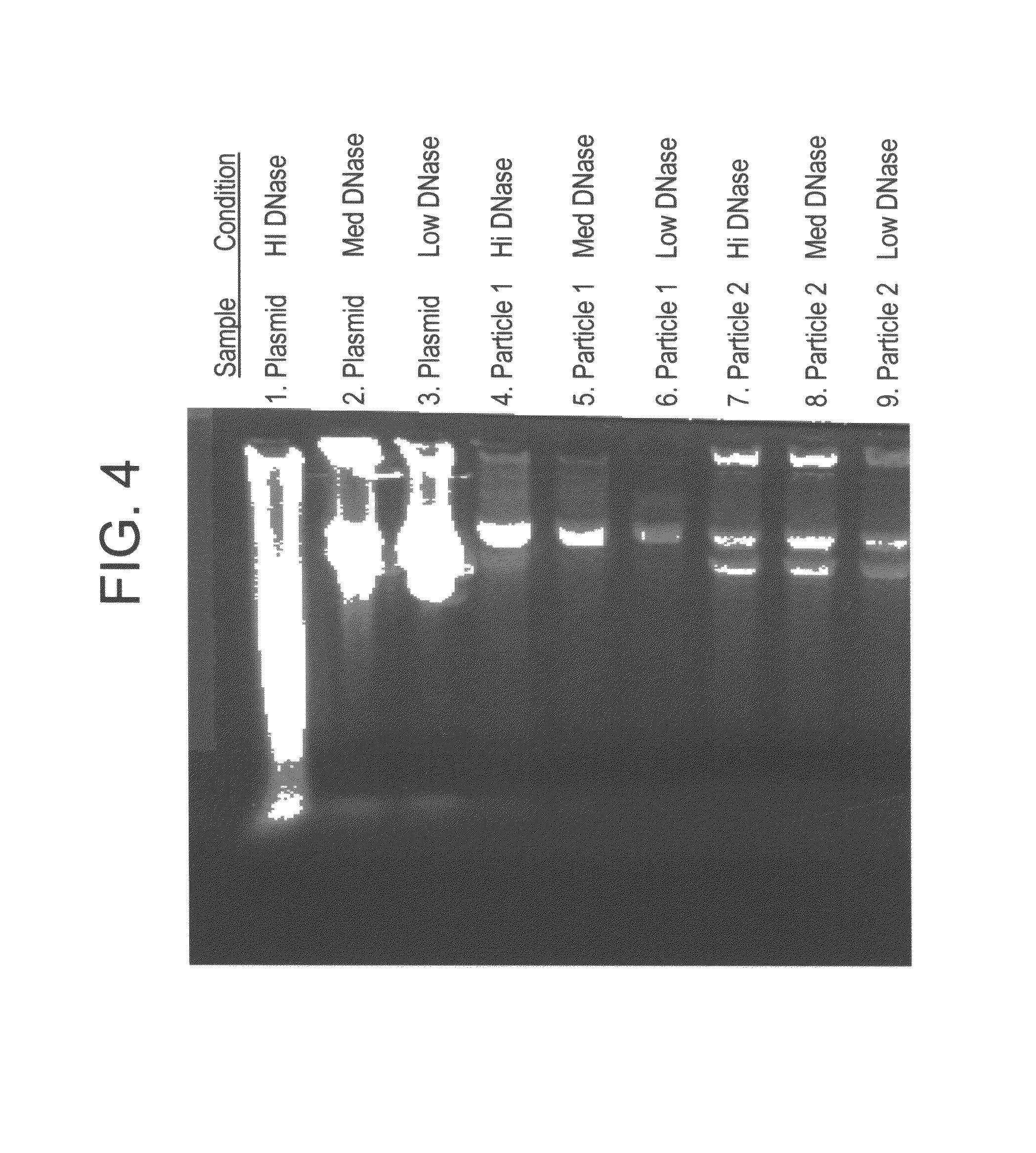 Nucleic acid microspheres, production and delivery thereof