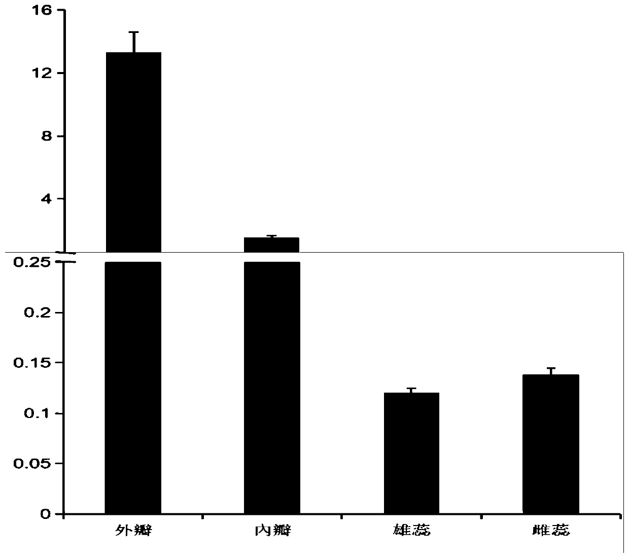 C. praecox CpUFO gene as well as coded protein and application thereof