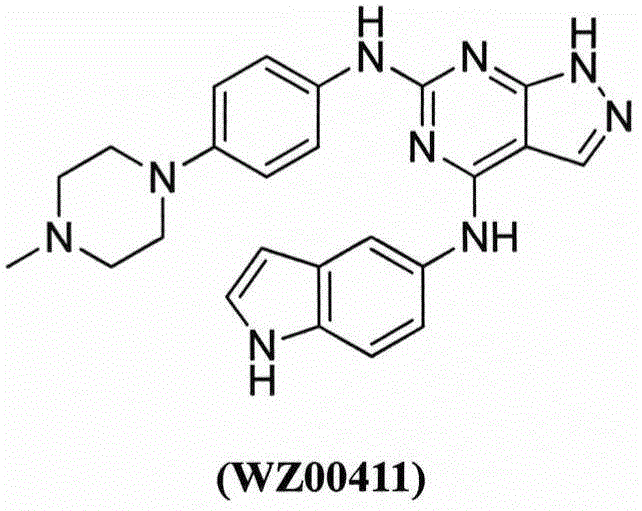 Parazole [5,6-d]pyrimidine type EGFR inhibitor and anti-tumor activity thereof