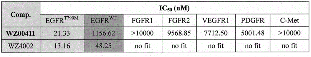 Parazole [5,6-d]pyrimidine type EGFR inhibitor and anti-tumor activity thereof