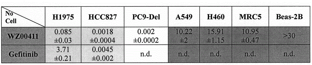 Parazole [5,6-d]pyrimidine type EGFR inhibitor and anti-tumor activity thereof