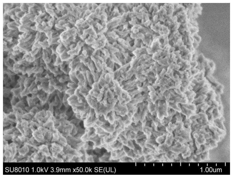 Preparation method of heterocyclic covalent organic polymer and application of heterocyclic covalent organic polymer in uranyl ion adsorption