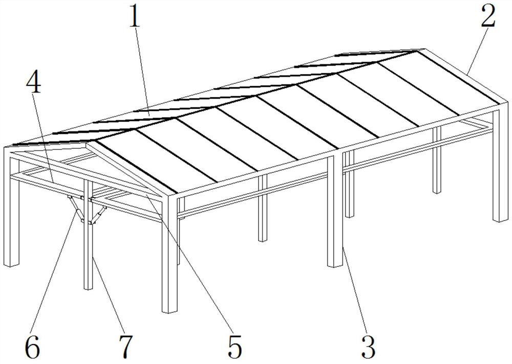 Greenhouse for grape planting