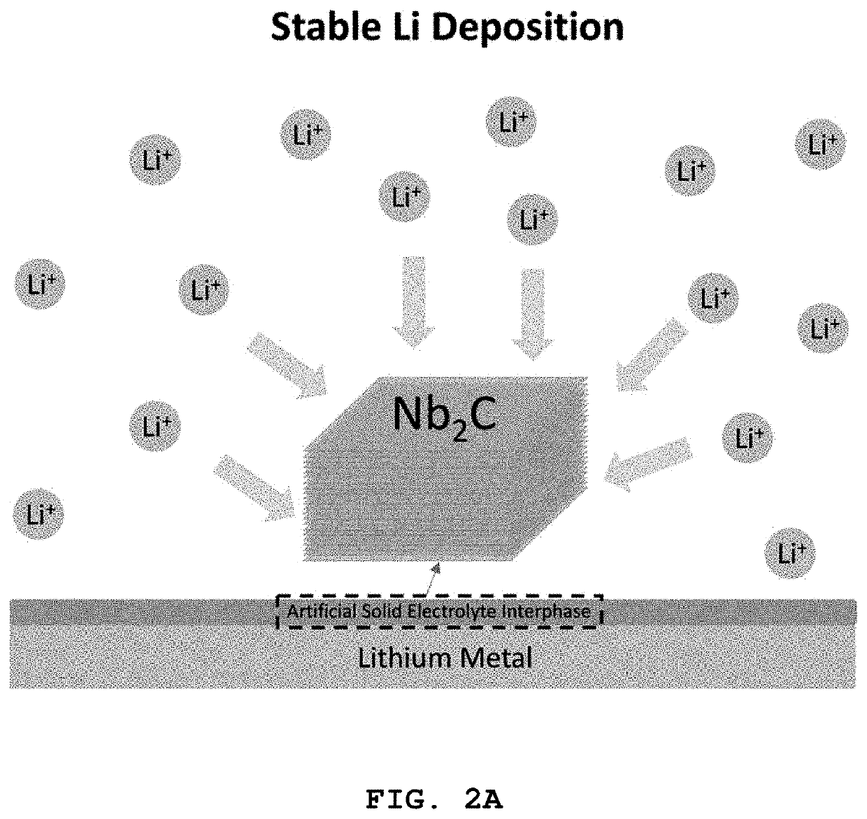 Method for producing an anode for a lithium metal secondary battery including a MXene thin film