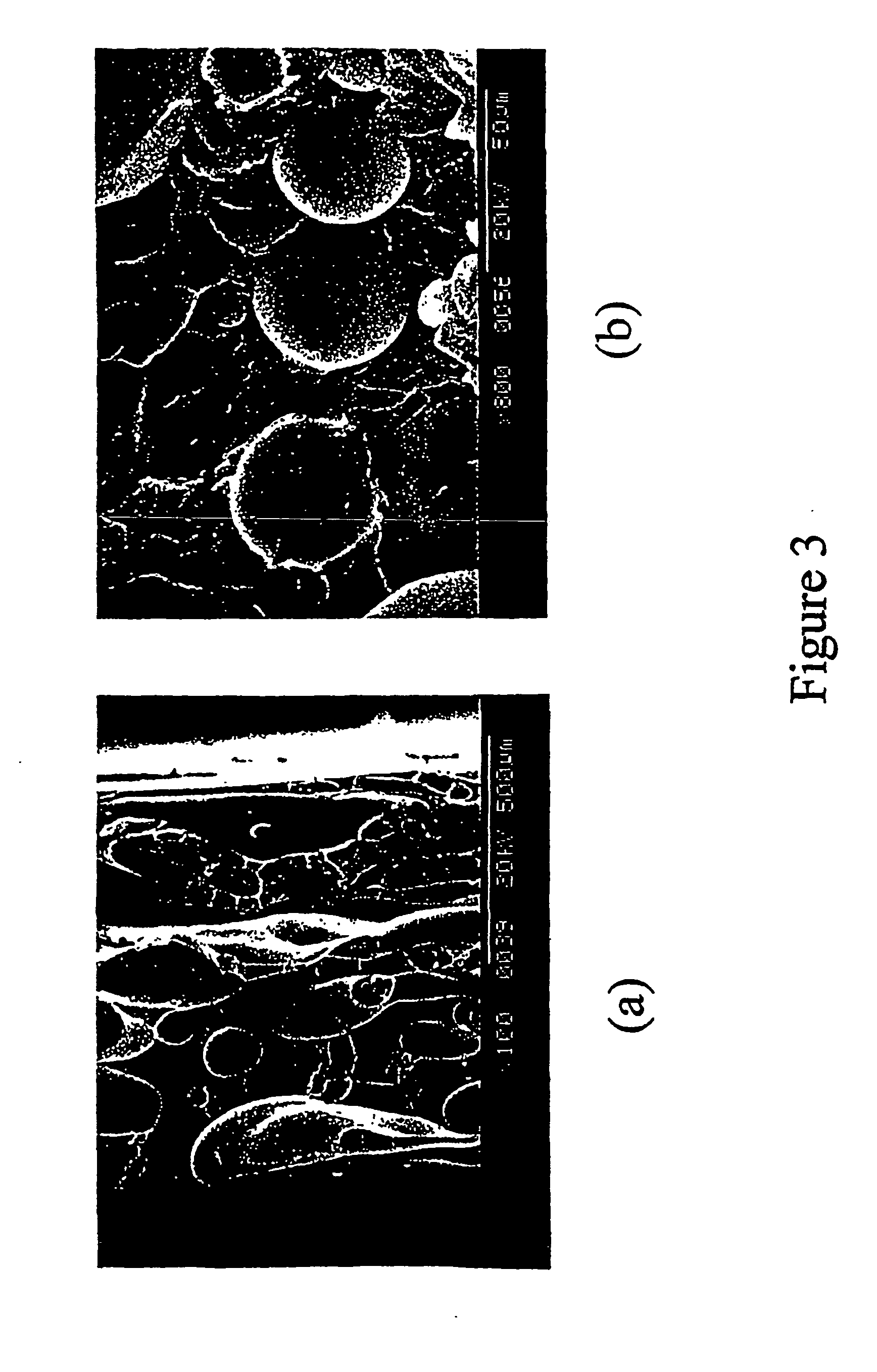 Methods for producing micro and nano-scale dispersed-phase morphologies in polymeric systems comprising at least two