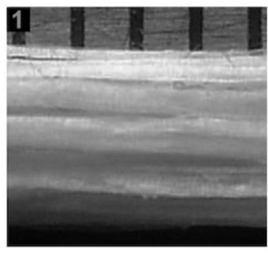 Bifunctional collagen scaffold material, its preparation method and its application in spinal cord injury repair