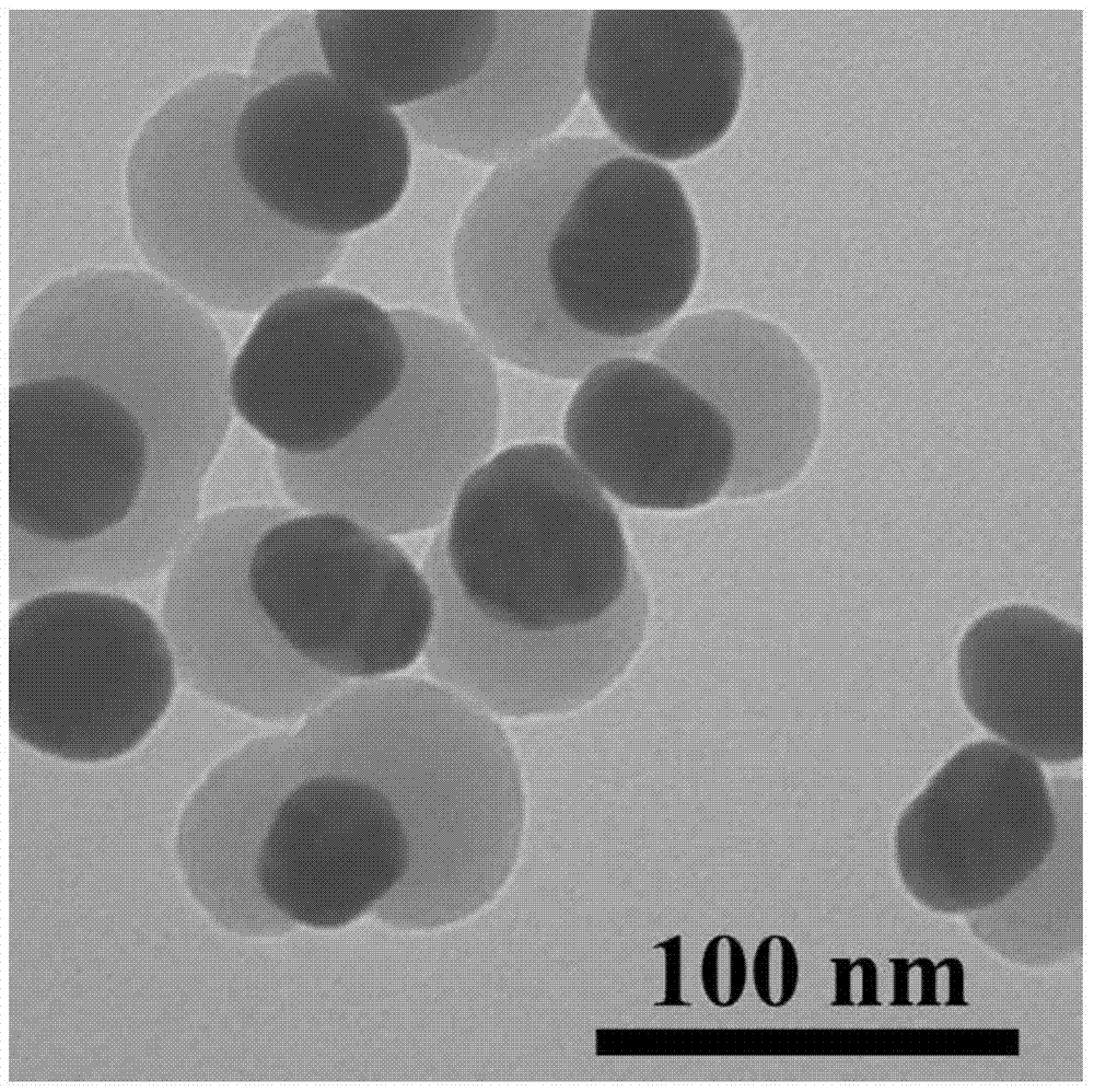 A preparation method and application of gold-silica janus structure nanoparticles with high catalytic properties