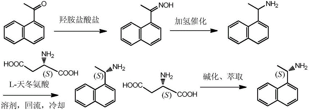 Method for preparing (S)-1-(1-naphthyl)ethylamine by enzymatic resolution