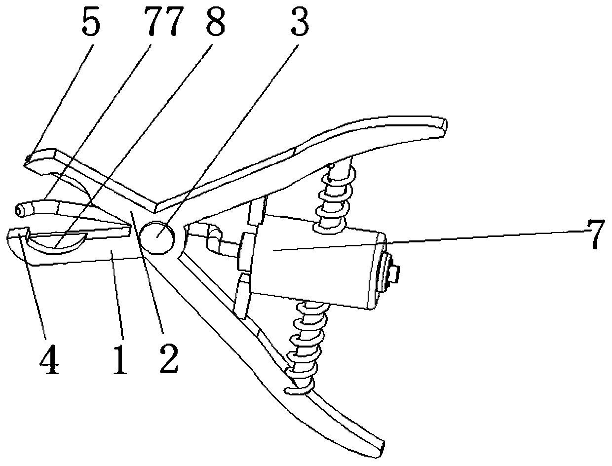 Non-invasive and quick removal forceps for tooth surface attachments