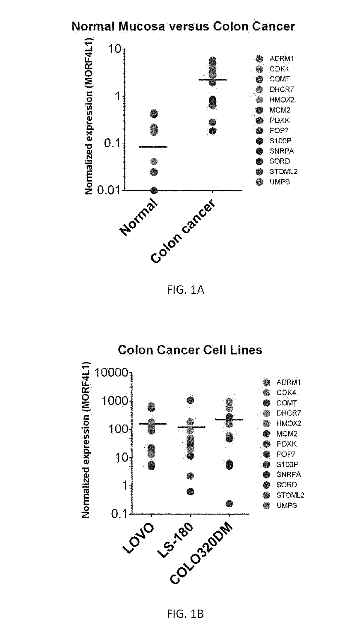 Methods for colon cancer detection and treatment