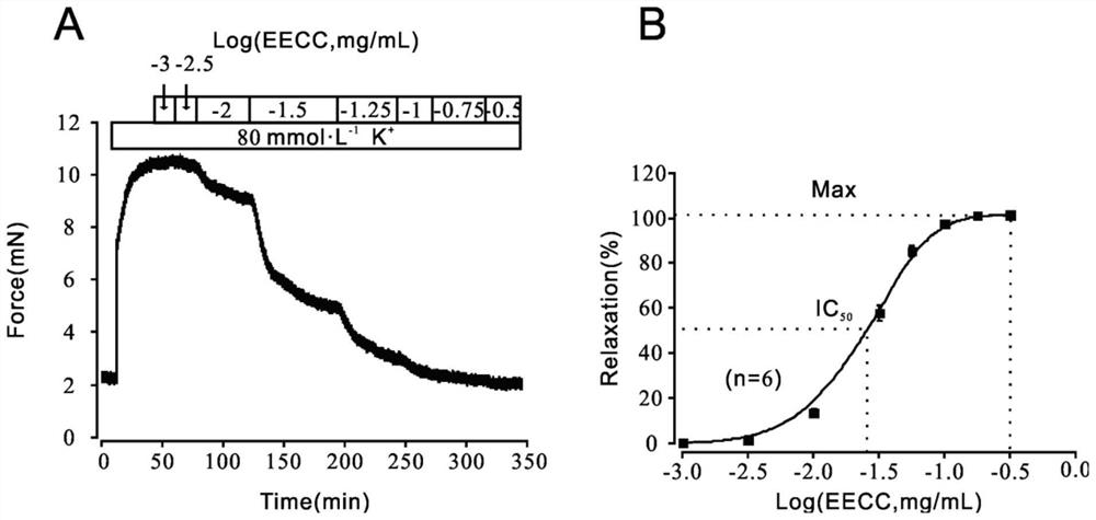 Application of thickleaf croton root ethanol extract to preparation of medicine for relaxing preshrunk tracheal smooth muscle