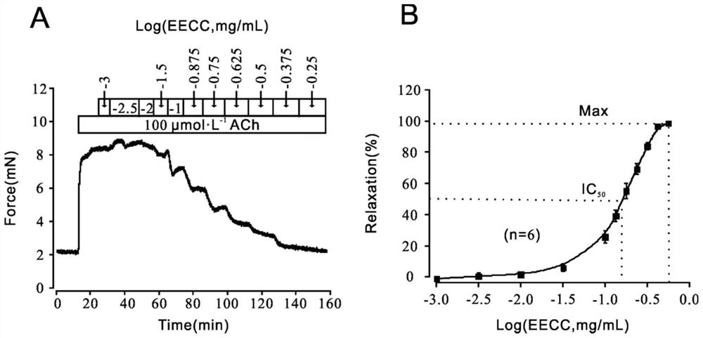 Application of thickleaf croton root ethanol extract to preparation of medicine for relaxing preshrunk tracheal smooth muscle