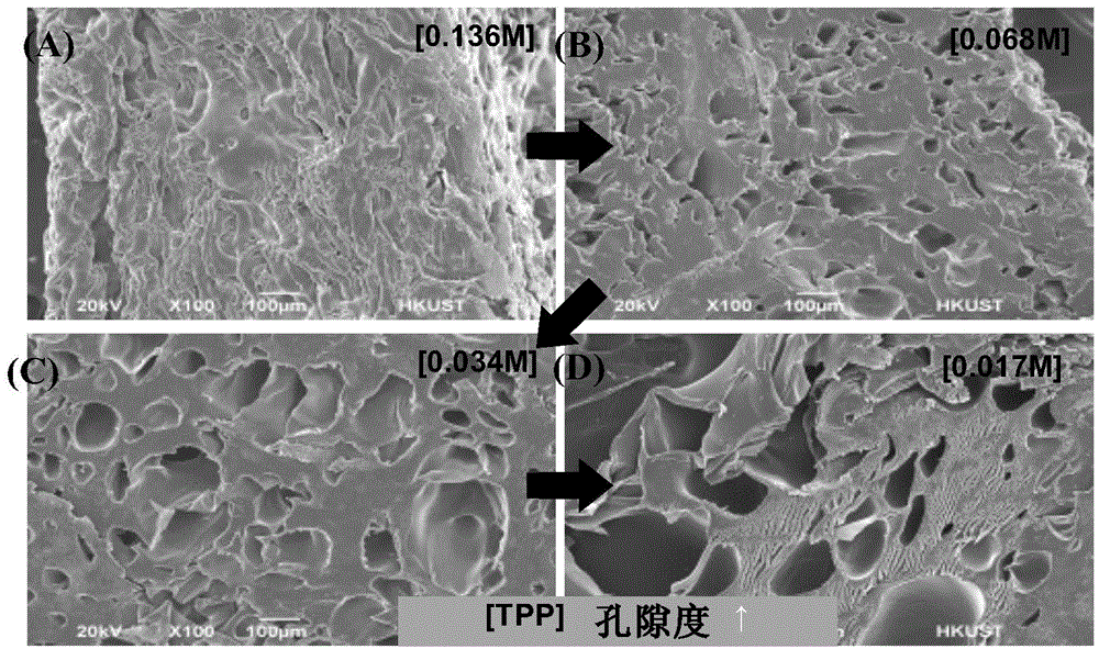 Chitosan based high performance filter with self-regenerating ability