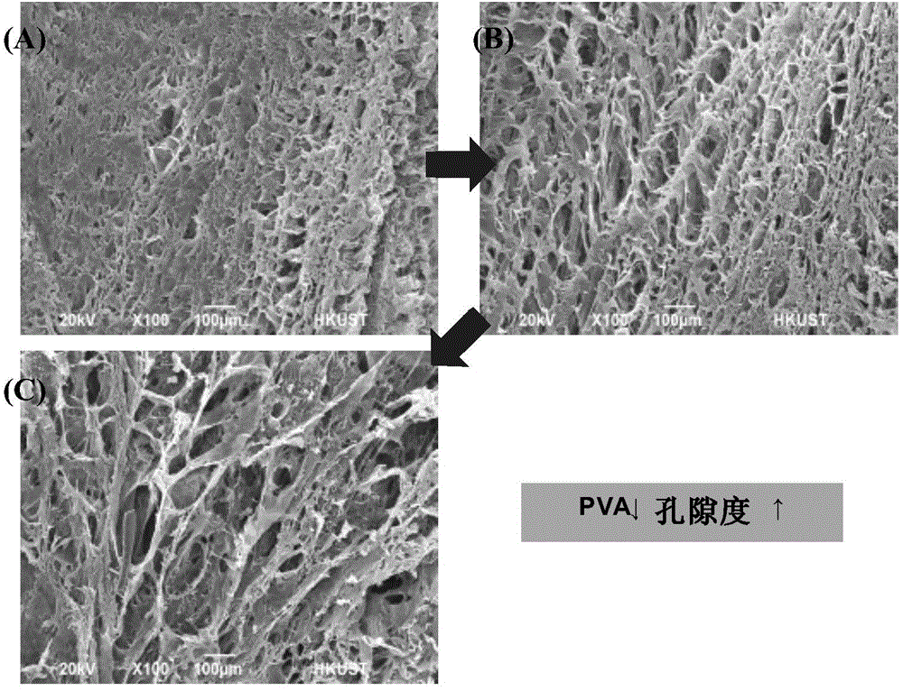 Chitosan based high performance filter with self-regenerating ability