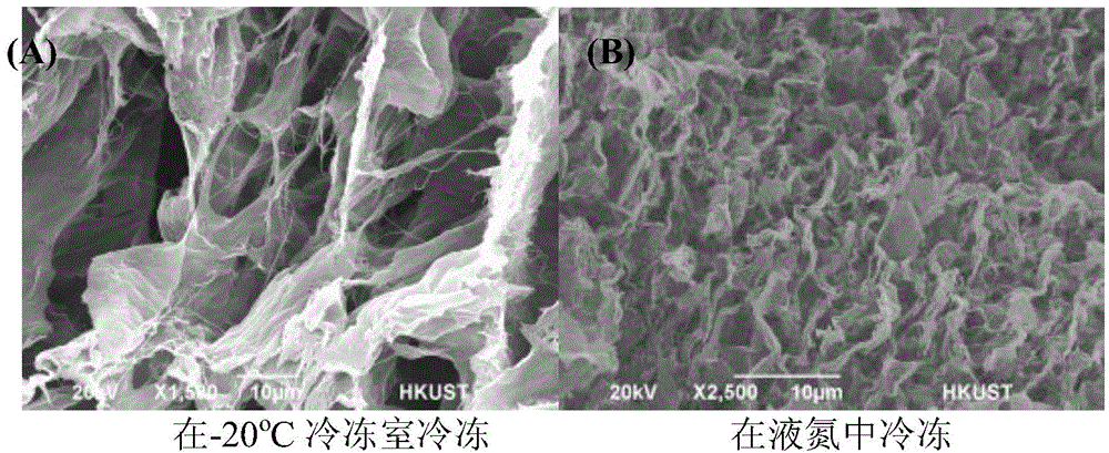 Chitosan based high performance filter with self-regenerating ability