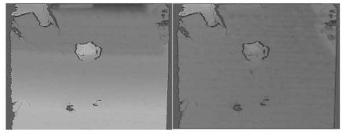 Crop seedling stage height detection method based on RGB-D depth camera