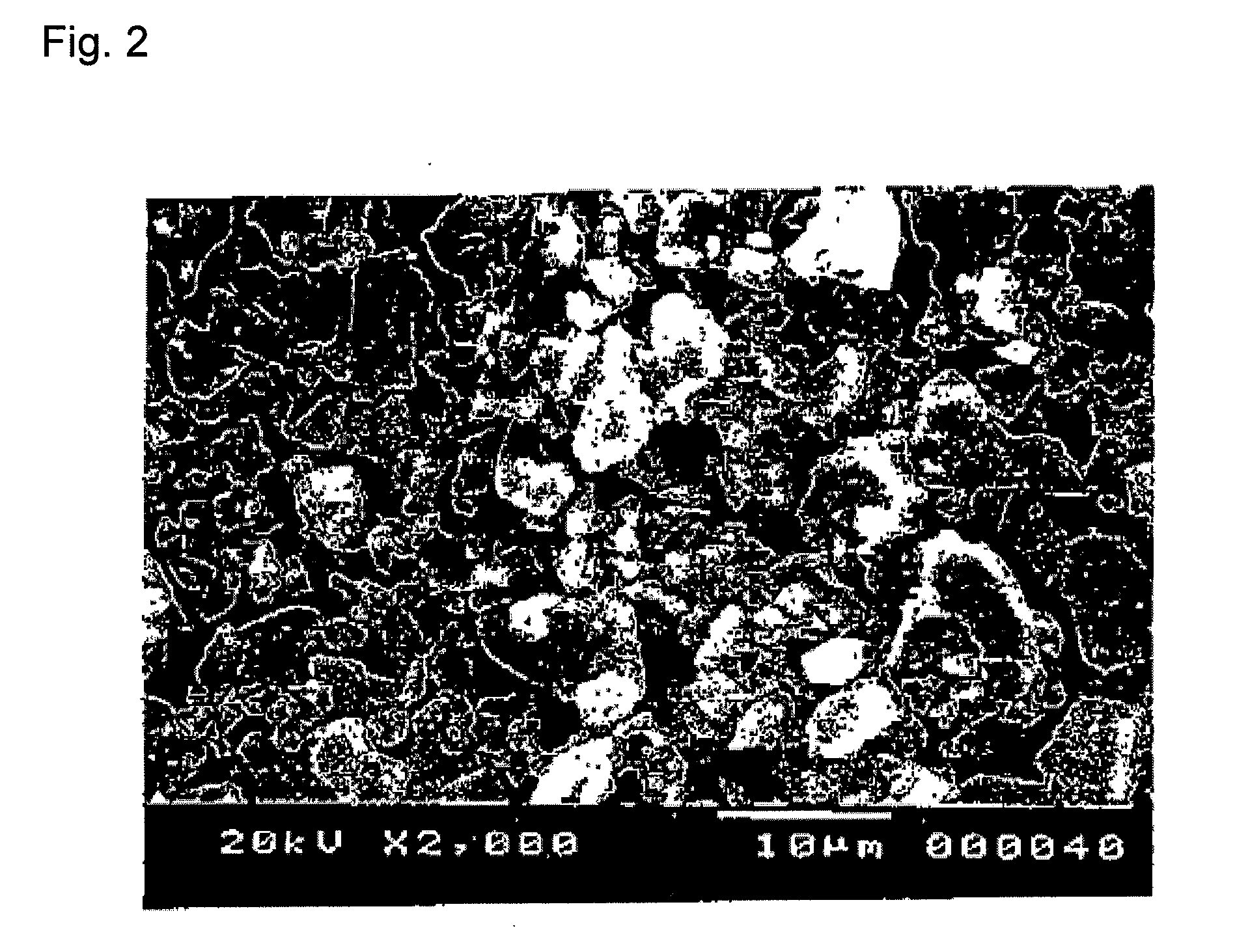 Antifungal/antibacterial agent comprising two-step baked shell powder