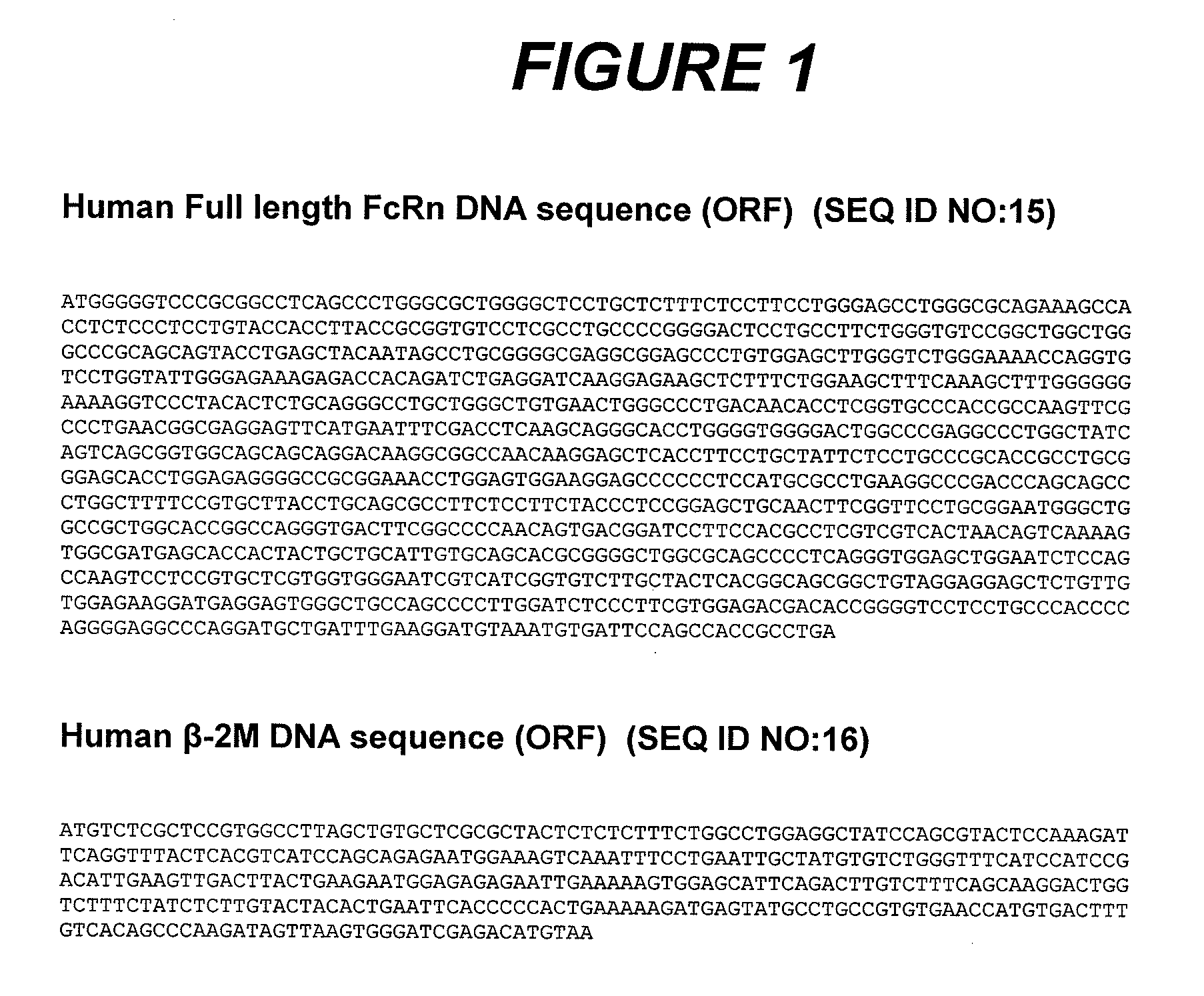 PEPTIDES THAT BLOCK THE BINDING OF IgG TO FcRn