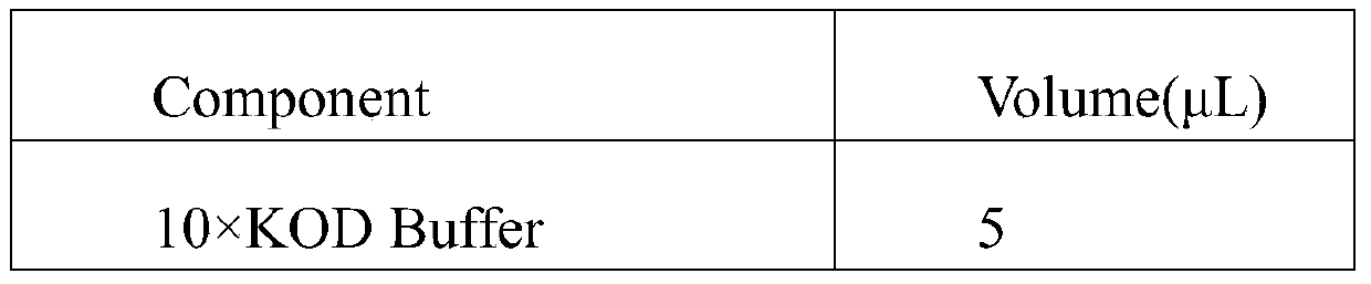 Process for producing dark tea through inoculation method