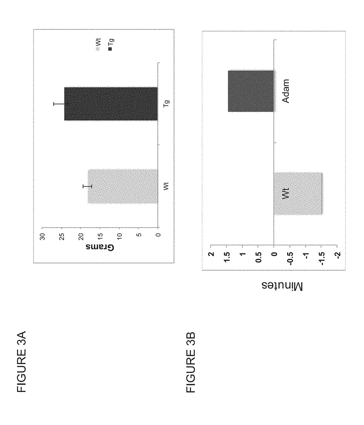 Modulation of muscle and adipocyte distribution and fate