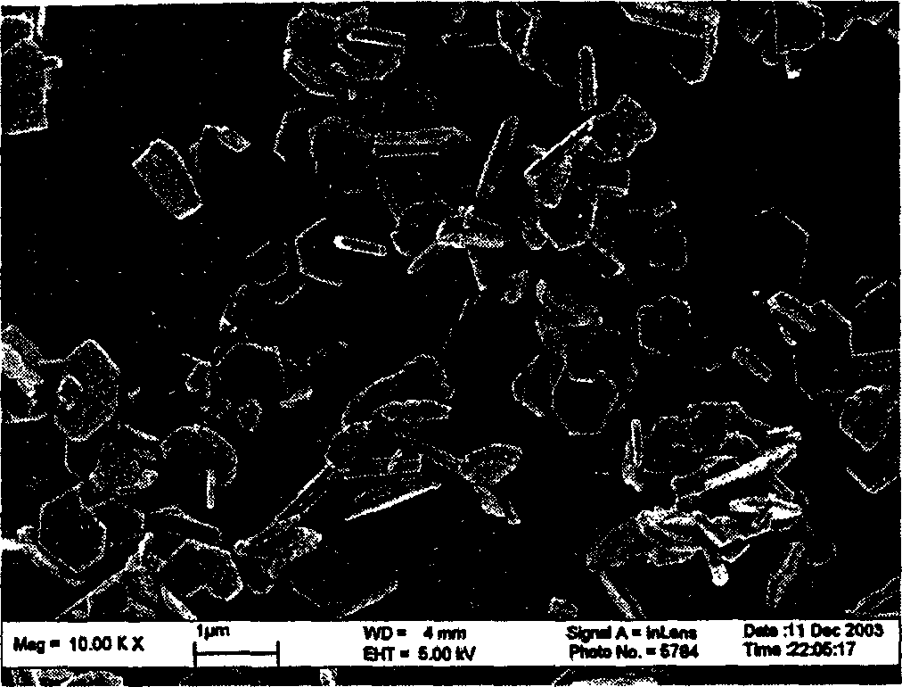 Process for preparing aluminate fluorescent powder by coprecipitation method