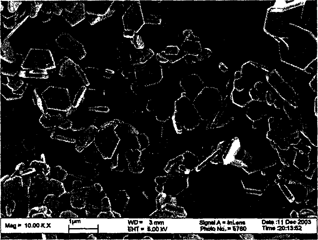 Process for preparing aluminate fluorescent powder by coprecipitation method