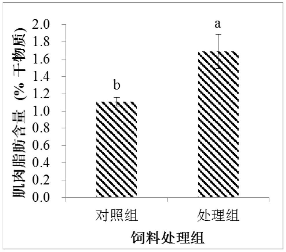 A nutritional approach to regulate muscle fat deposition in redfin puffer