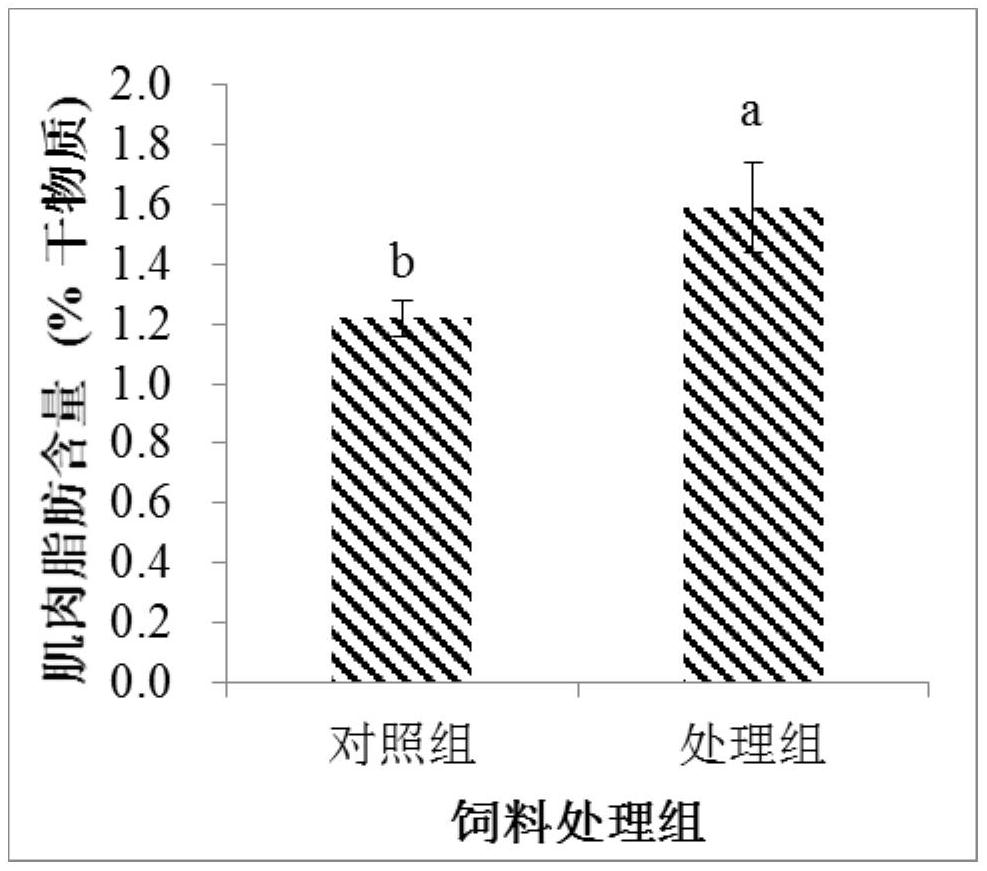 A nutritional approach to regulate muscle fat deposition in redfin puffer